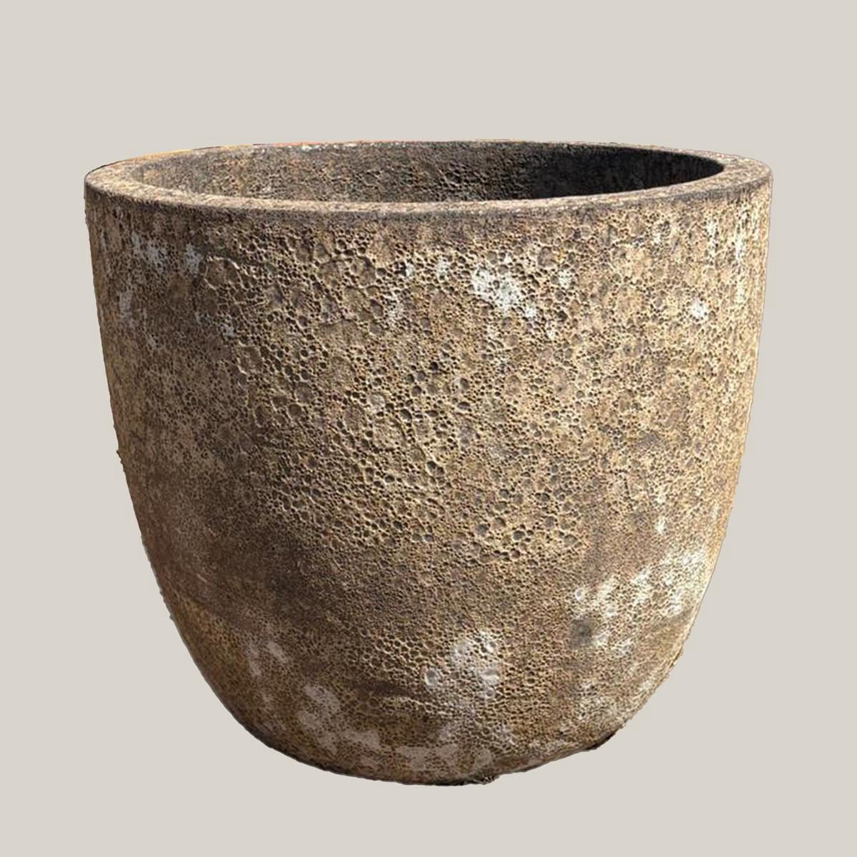 6142H84 8211 Grey Coral Lion Egg Planter 8211 98221x 98221x 88221 Grey Coral