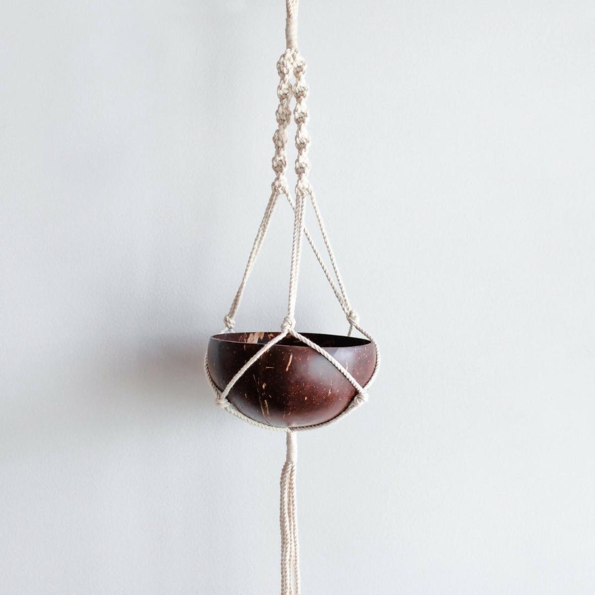 Thenga Coconut Shell Macrame Plant Hanger & Pot | Ideal for Succulents, Small Cacti, Herbs and Small Plants (Set of 1)