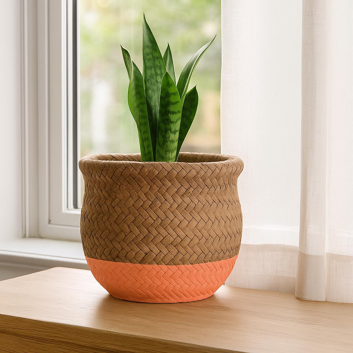 5.5 inch Orange & Nature Reed Round Cement Pot