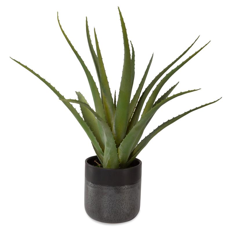 Tucson Aloe Planter | Uttermost