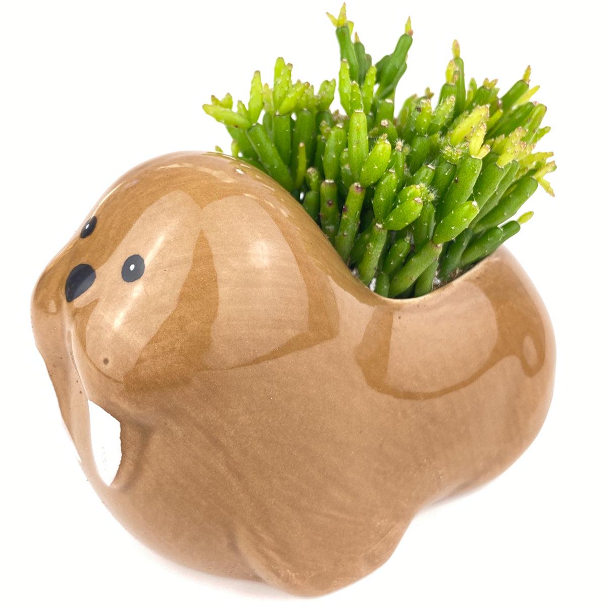 Walruses Planter