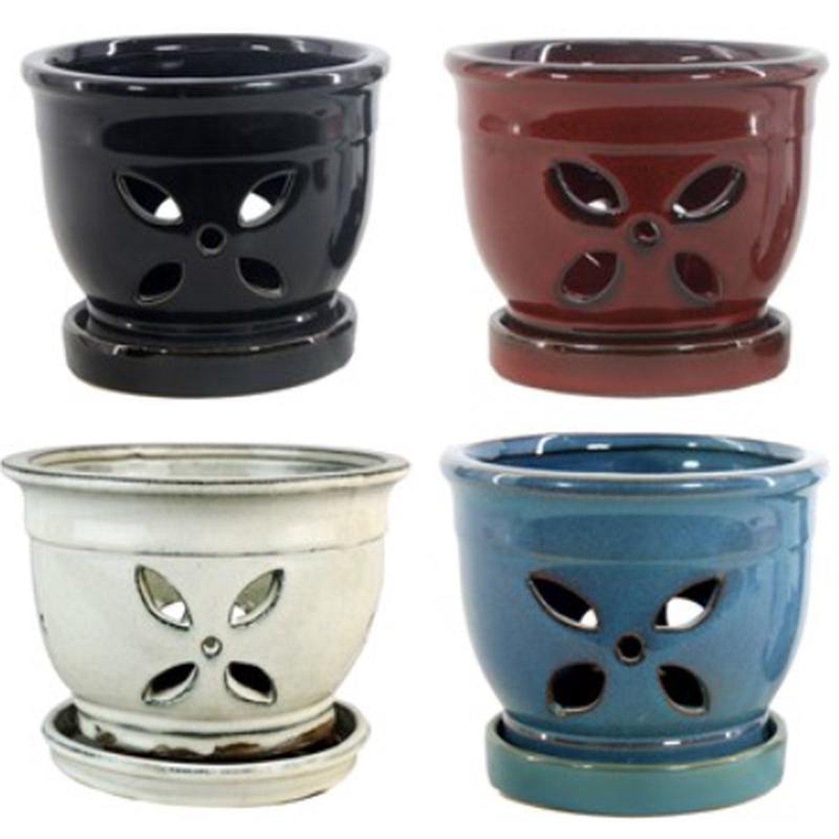 558243 4 Petal Orchid Pot