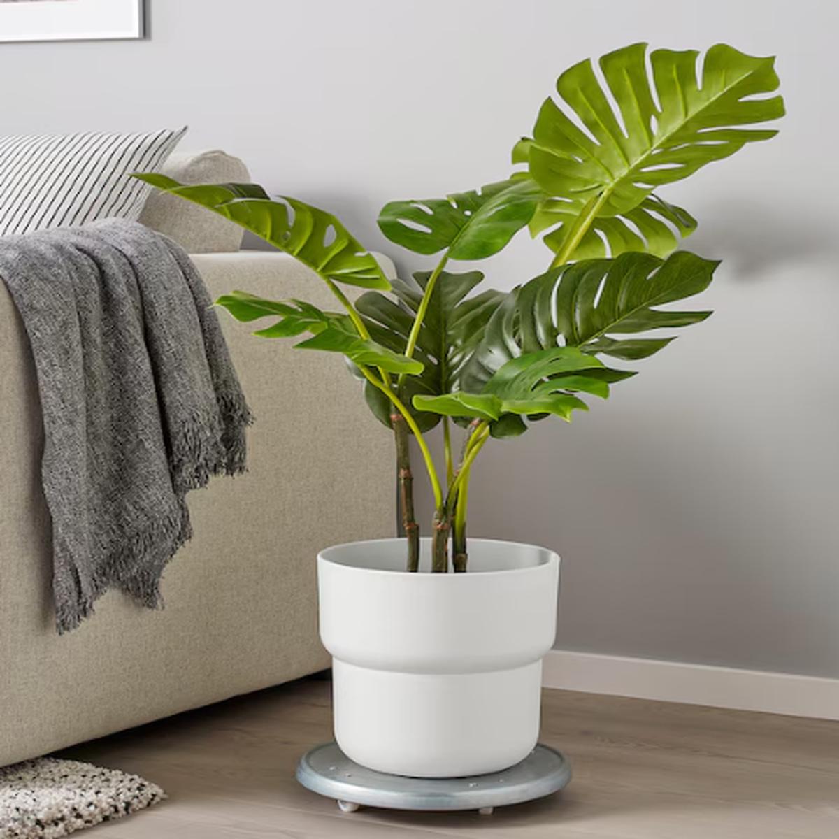 White Pot - Planter - Large 24cm x 26cm