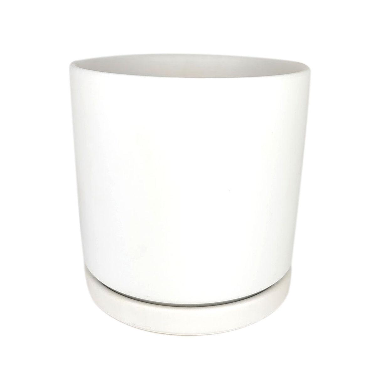 White Porcelain Cylinder Pot with Saucer - 6 inch