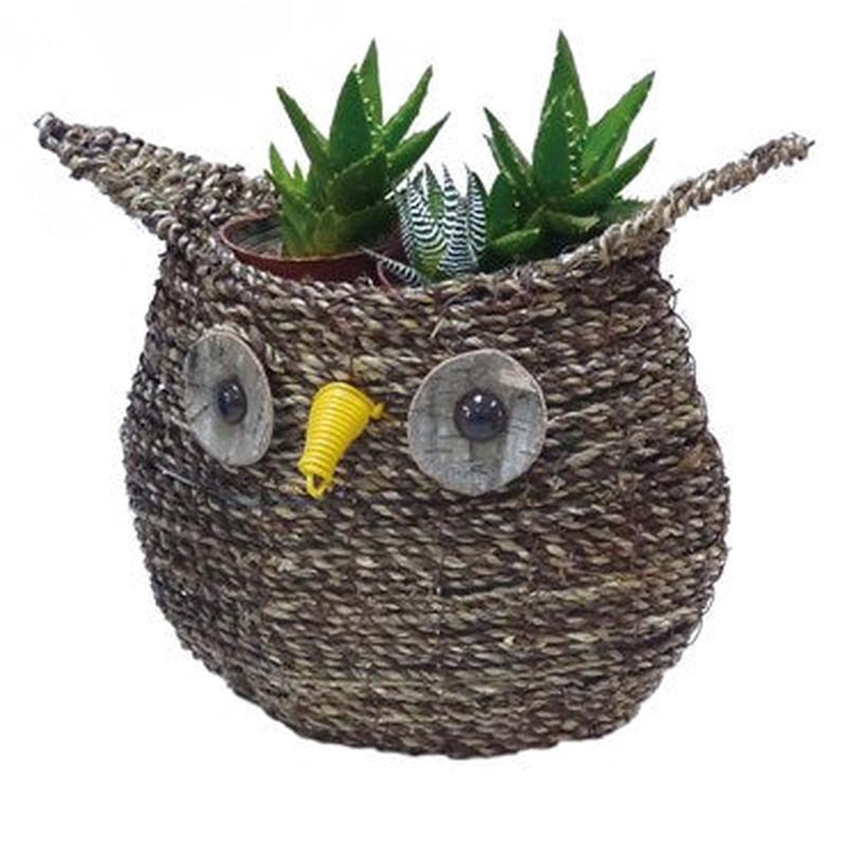 1058243 Large Owl Rattan Rope Topiary