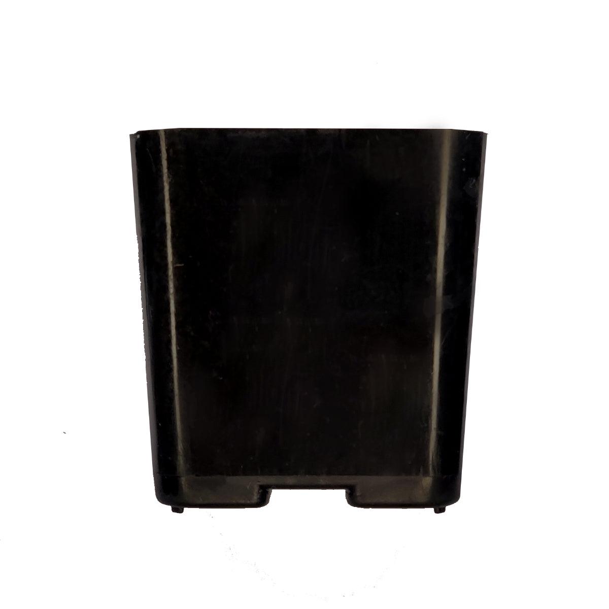 2 Inch Square Plastic Pots - Black