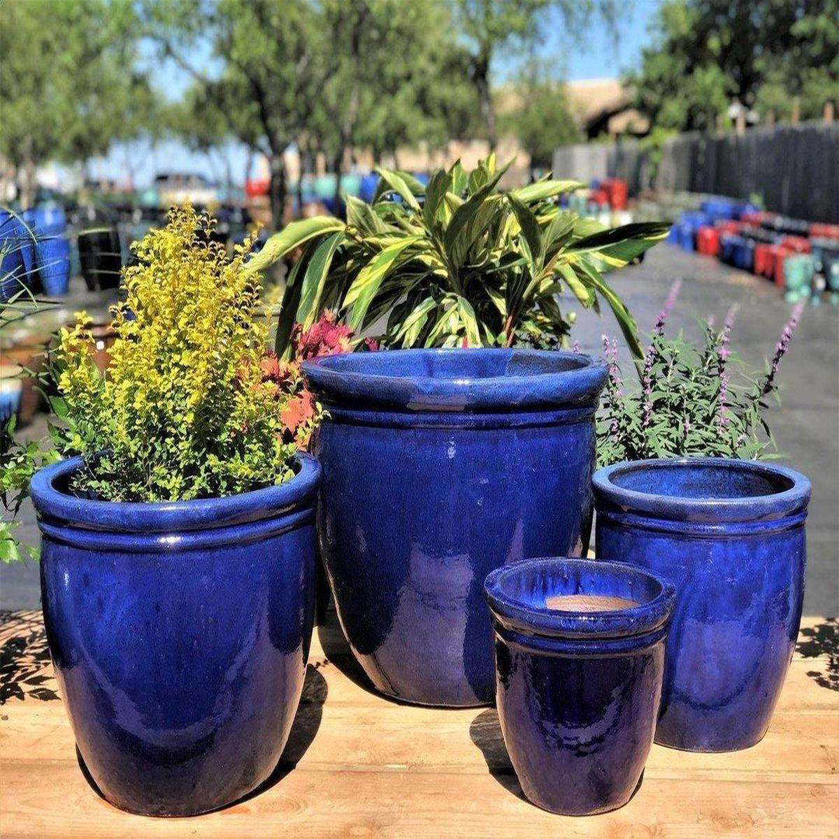 8454N8 8211 Blue Double Rim Ceramic Planter 8211 168221 x 168221 x 148221 Blue
