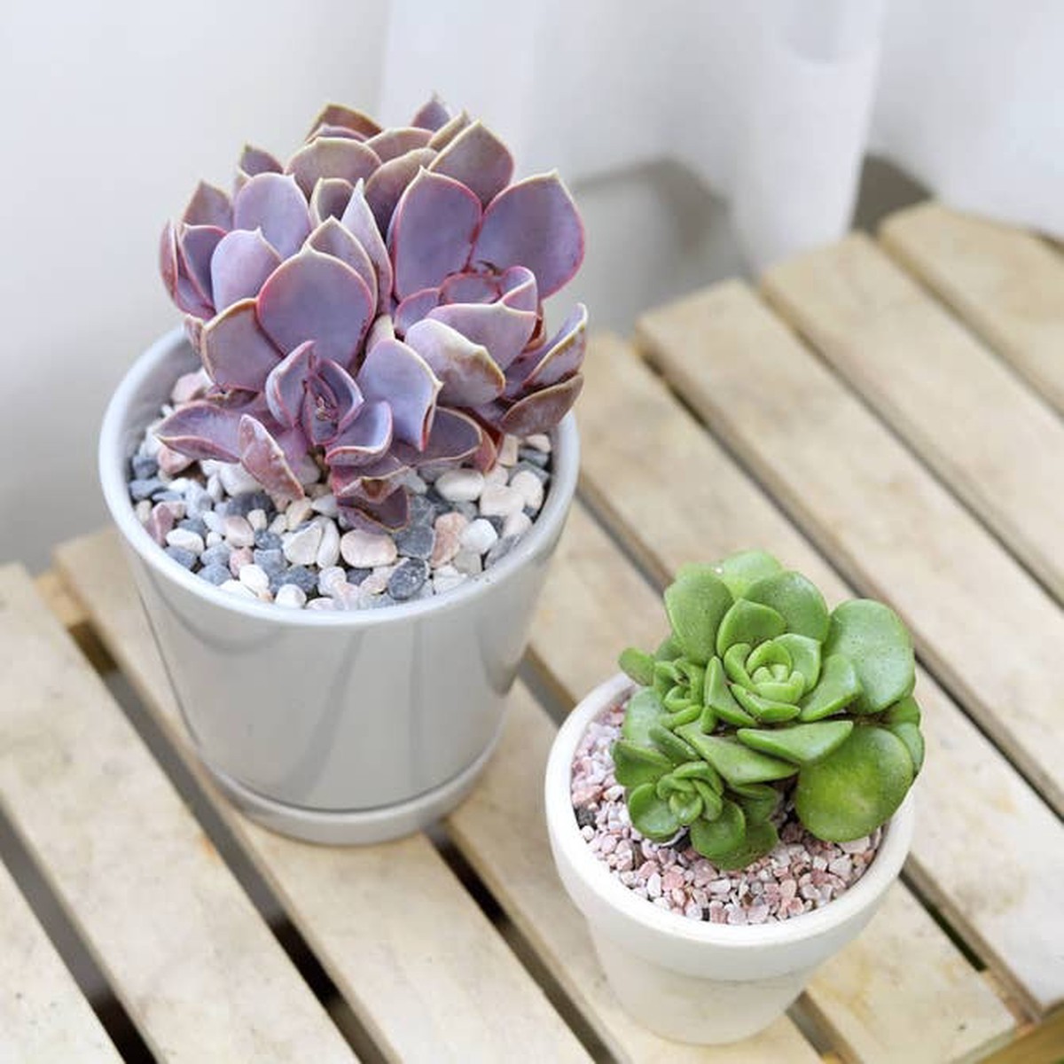 4" Terracotta Saucer