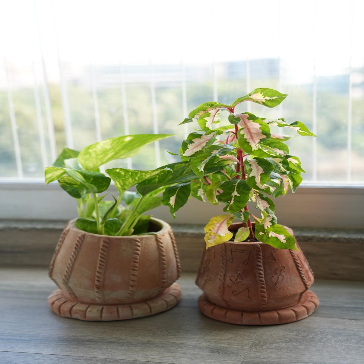Tabla Taal Raag Handcrafted Musical Clay Planter